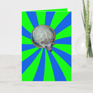 BAM! Hedgehog Greeting Card
