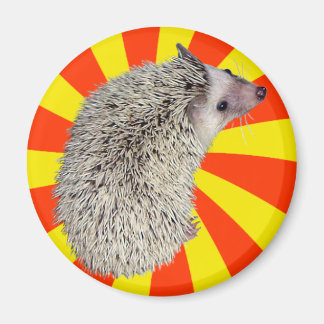 BAM! Hedgehog Magnet 2