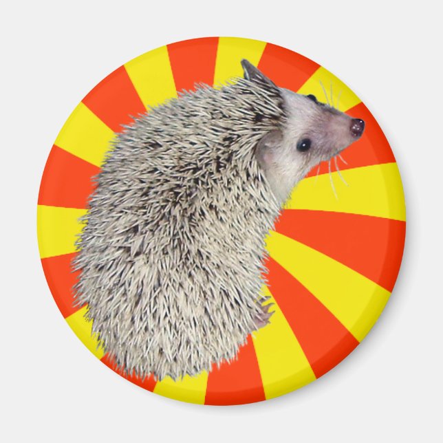BAM! Hedgehog Magnet 2 (Front)