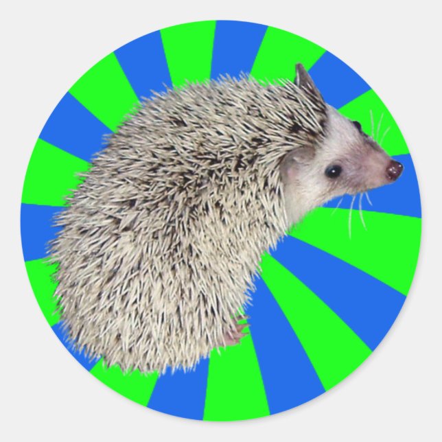 BAM! Hedgehog Stickers 2 (Front)