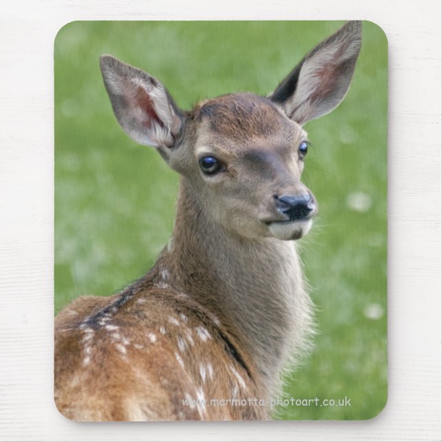 Bambi Mousemat Mouse Pad (Front)