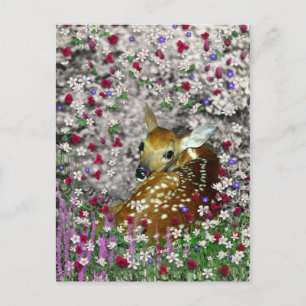 Bambina the White-Tailed Fawn in Flowers I Postcard