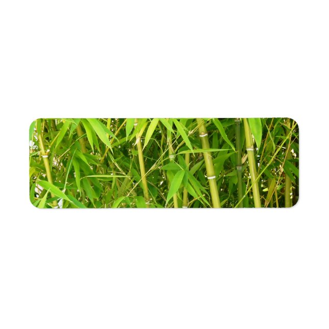 Bamboo (Front)