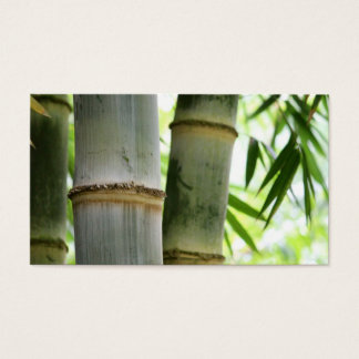Bamboo