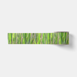 Bamboo Against the Sun Satin Ribbon