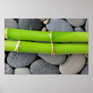 Bamboo and pebble poster