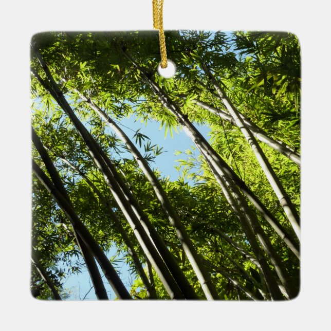 Bamboo Botanical Nature Ceramic Ornament (Front)