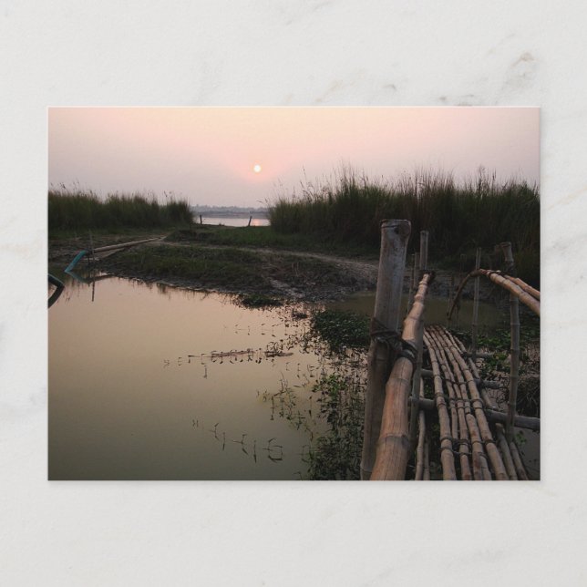 Bamboo Bridge, Ganges, West Bengal, India Postcard (Front)