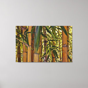 Bamboo Canvas Print