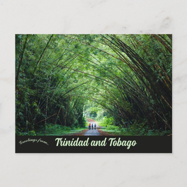 Bamboo Cathedral Trinidad and Tobago Postcard (Front)