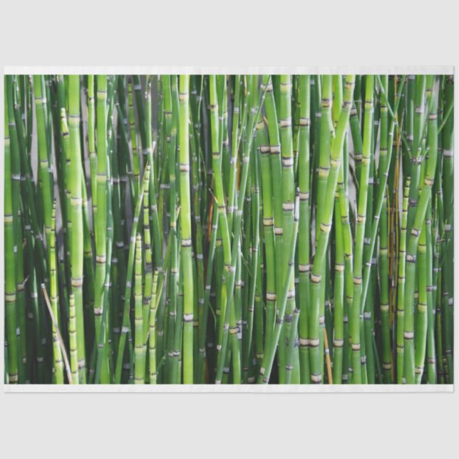 Bamboo Decoupage 24 Background Tissue Paper (Front)