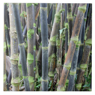 Bamboo Design Wall Tile