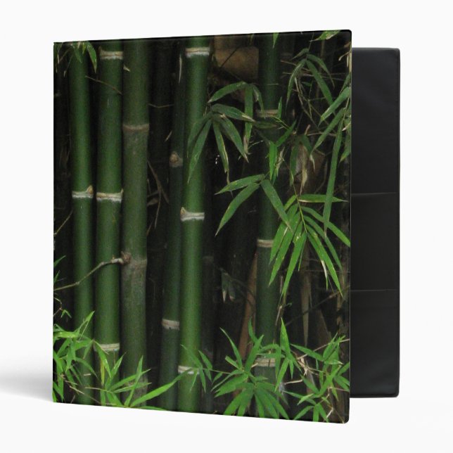 Bamboo ... Fao Rai, Nong Khai, Isaan, Thailand Binder (Front/Inside)