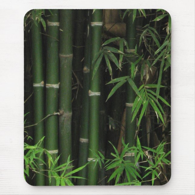 Bamboo ... Fao Rai, Nong Khai, Isaan, Thailand Mouse Pad (Front)