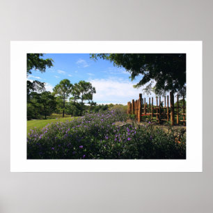 Bamboo Fence Perspective Poster