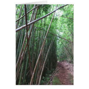 Bamboo Forest