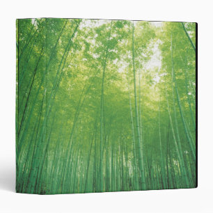 Bamboo Forest 2 Binder