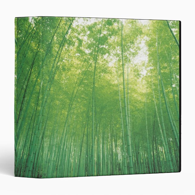 Bamboo Forest 2 Binder (Front/Spine)