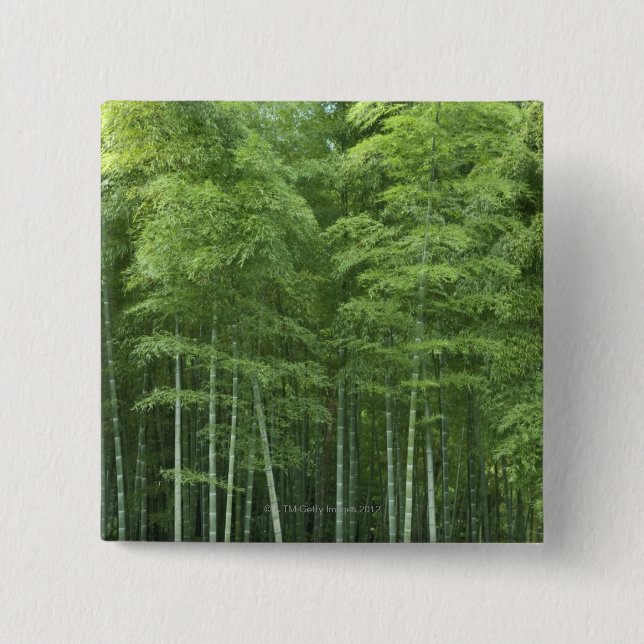 Bamboo Forest 2 Inch Square Button (Front)