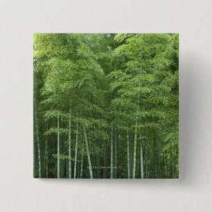Bamboo Forest 2 Inch Square Button