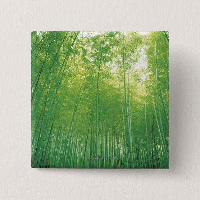 Bamboo Forest 2 Inch Square Button (Front)