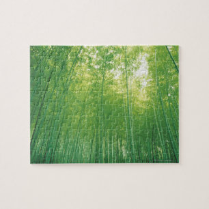 Bamboo Forest 2 Jigsaw Puzzle