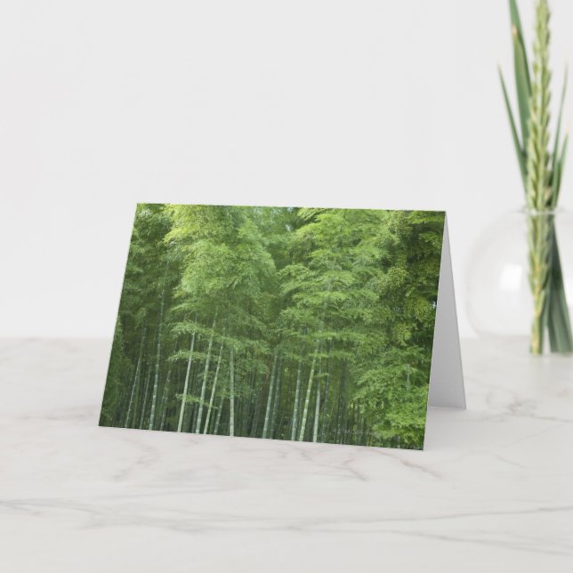Bamboo Forest Card (Front)
