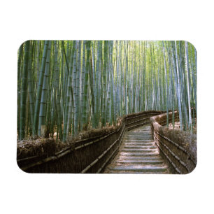 Bamboo Forest in Kyoto Magnet