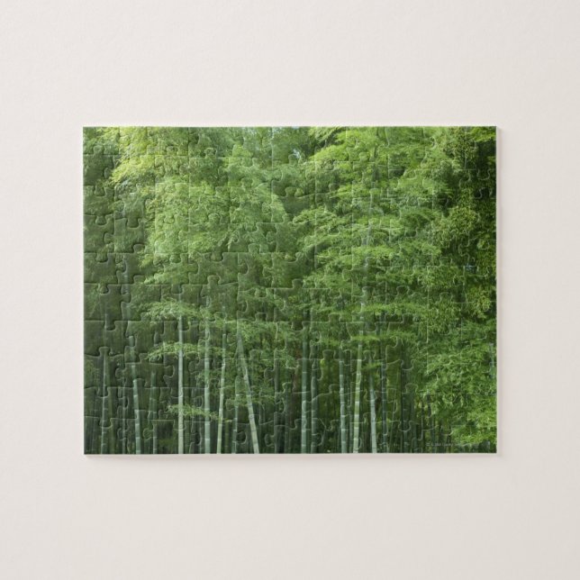Bamboo Forest Jigsaw Puzzle (Horizontal)