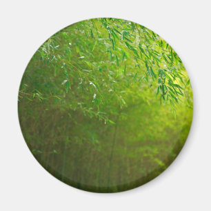 Bamboo forest magnet