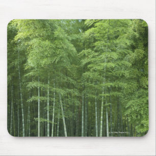 Bamboo Forest Mouse Pad