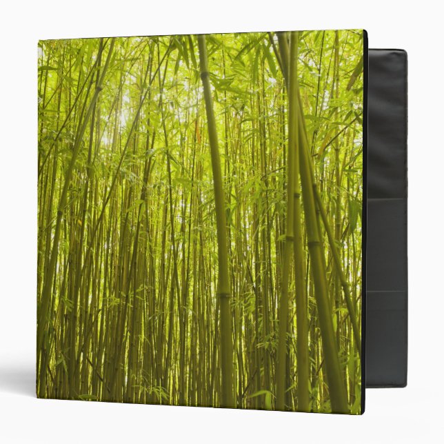 Bamboo Forest near Waikamoi Ridge Trail, North Binder (Front/Inside)