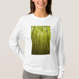 Bamboo Forest near Waikamoi Ridge Trail, North T-Shirt
