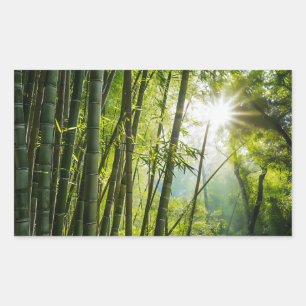 Bamboo Forest Sticker