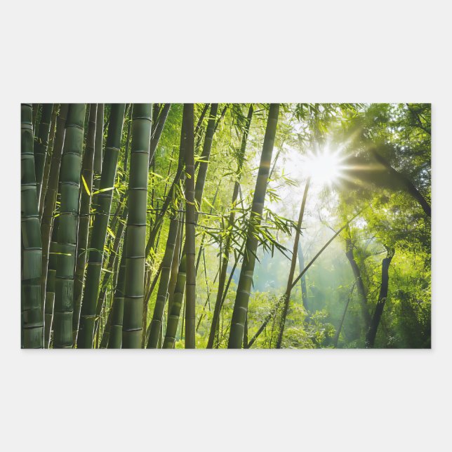 Bamboo Forest Sticker (Front)