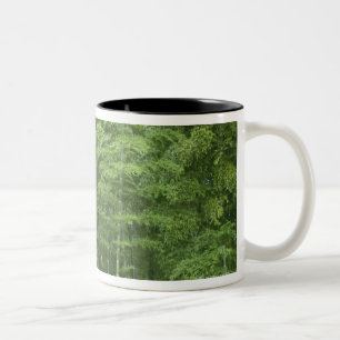 Bamboo Forest Two-Tone Coffee Mug