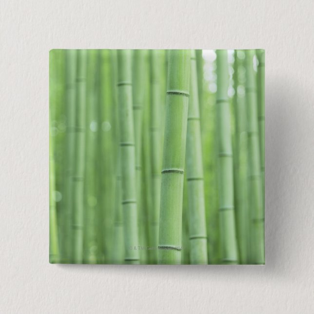 Bamboo Grove 2 Inch Square Button (Front)