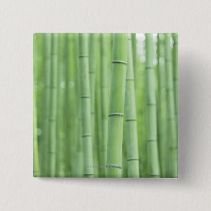 Bamboo Grove 2 Inch Square Button