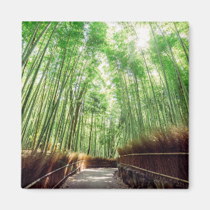 Bamboo Grove Arashiyama, Kyoto, Japan Magnet
