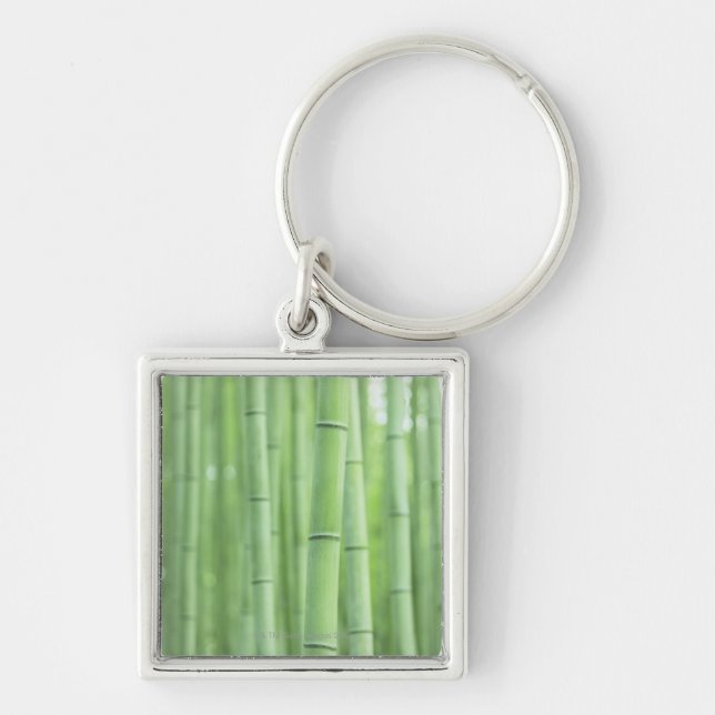 Bamboo Grove Keychain (Front)