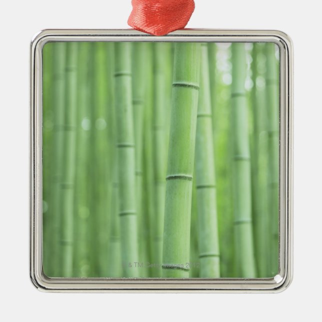 Bamboo Grove Metal Ornament (Front)