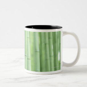 Bamboo Grove Two-Tone Coffee Mug