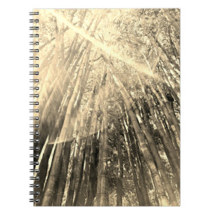 Bamboo in Sepia Notebook