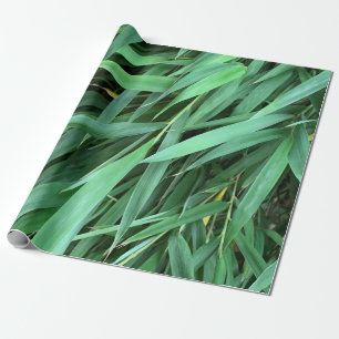 Bamboo leaves background wrapping paper