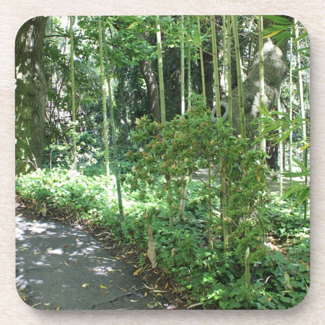 Bamboo Path Coaster (Front)