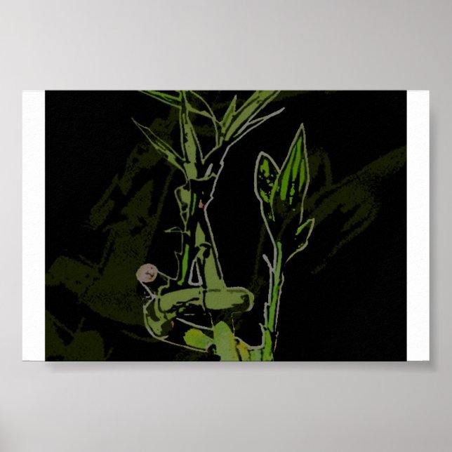 Bamboo Plant Poster (Front)