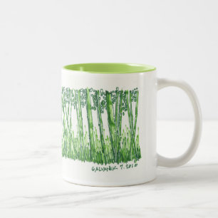 Bamboo Sketch Mug