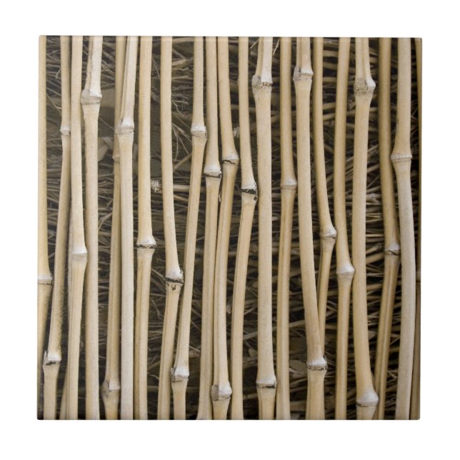 Bamboo Texture Tile (Front)