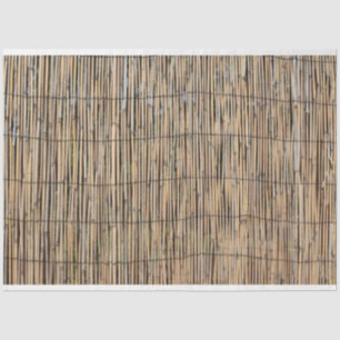 Bamboo Tissue Paper