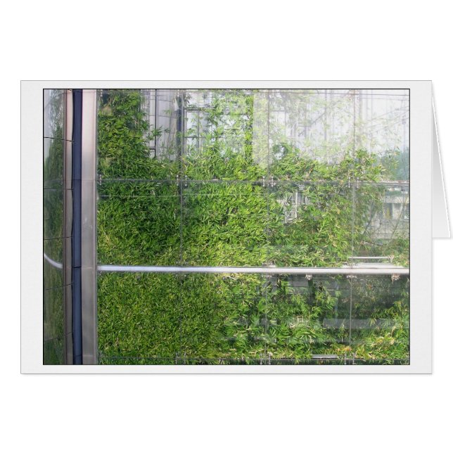 BAMBOOS card (Front Horizontal)
